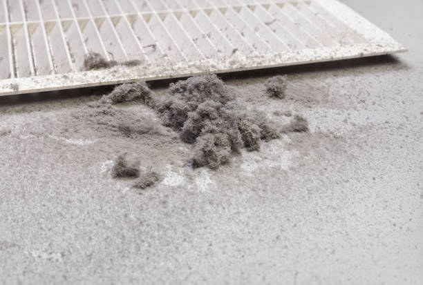 Best HVAC Maintenance and Cleaning  in Anthony, TX