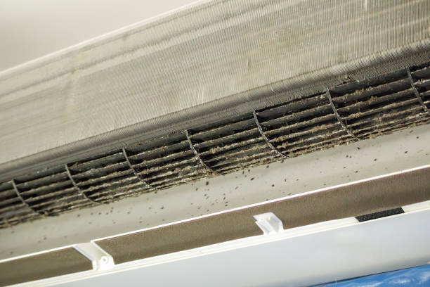 Best Dryer Vent Cleaning Services  in Anthony, TX